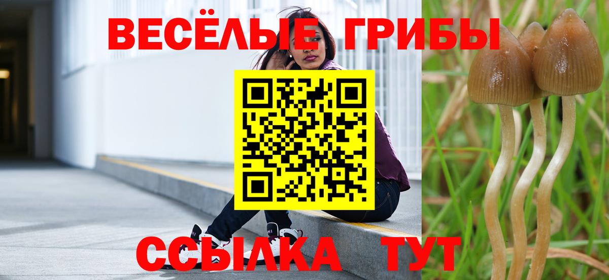 Галлюциногенные грибы Magic Shrooms  Галлюциногенные грибы Psilocybine cubensis  Вход с VPN  хочу наркоту  Ступино 